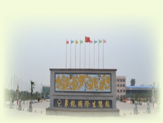 扬州勇龙国际生态园拓展基地