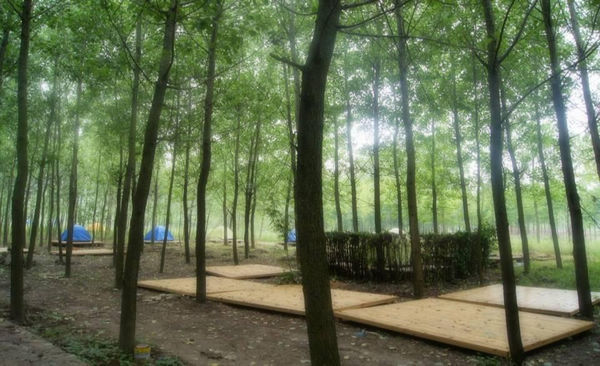 扬州中为瓜洲国际露营地拓展基地
